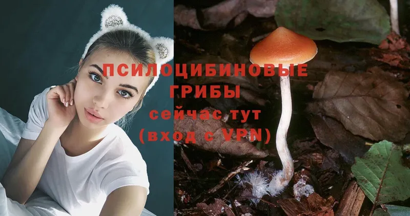 Псилоцибиновые грибы MAGIC MUSHROOMS Анадырь